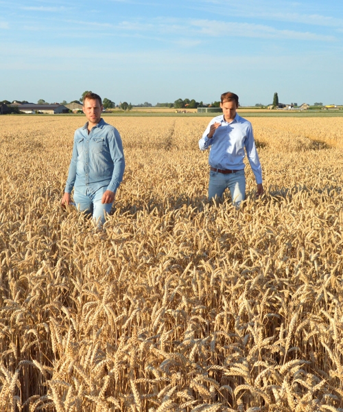 Steven and Jannes of BelFarm