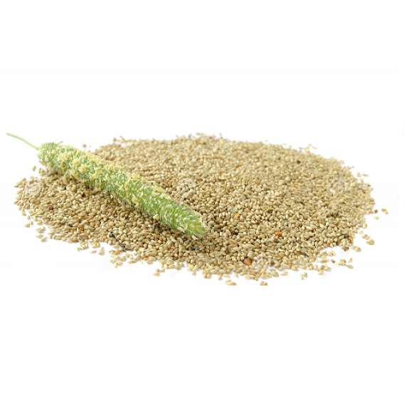 Timothy grass seed 1kg